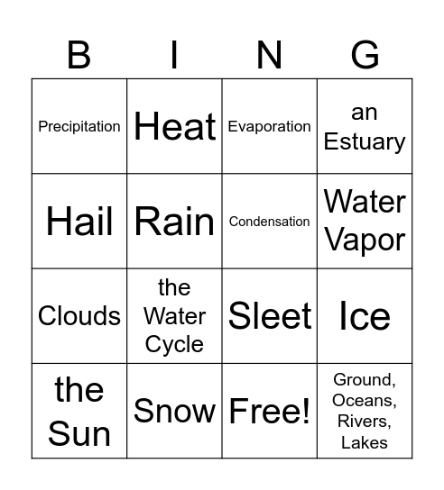 Water Cycle Bingo Card
