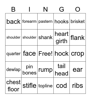 Beef Parts Bingo Card