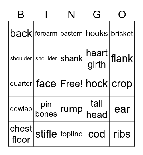 Beef Parts Bingo Card