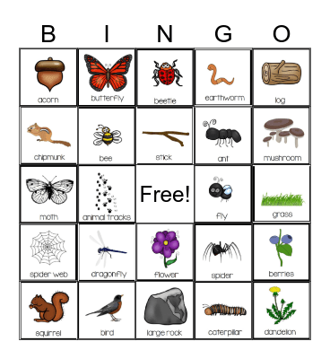 Nature Bingo Card