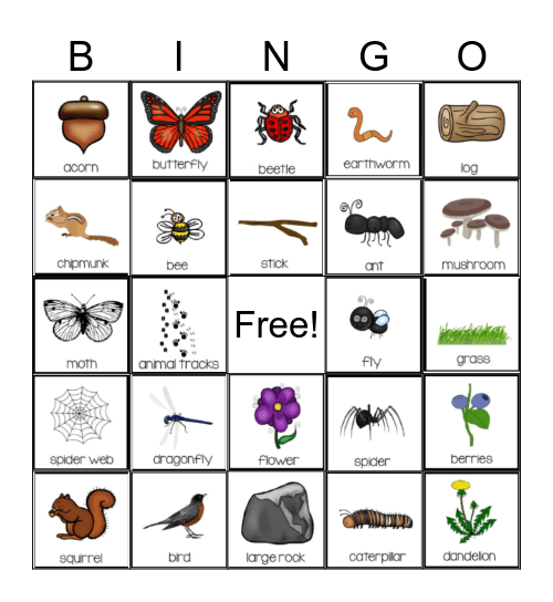 Nature Bingo Card