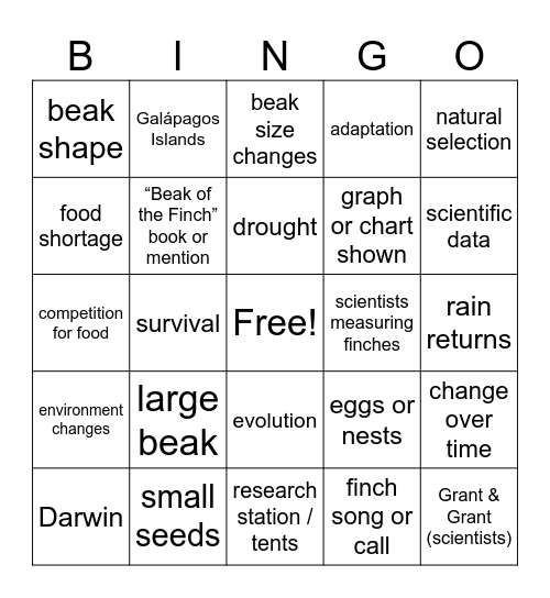 Galapagos Finch Evolution Bingo Card