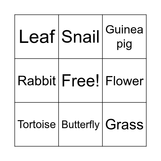 In the garden! Bingo Card