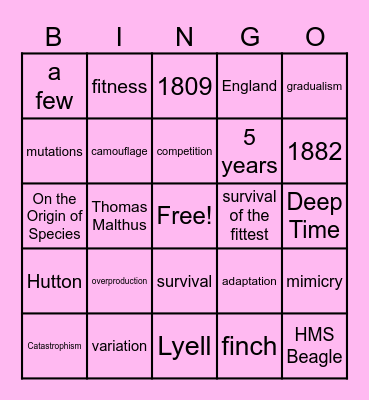 Evolution BINGO 2 Bingo Card