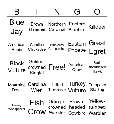 Birding Bingo Card