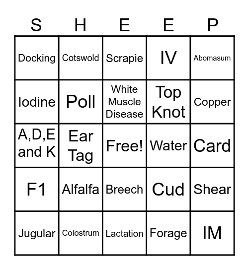 Junior Oxford Association Bingo Card