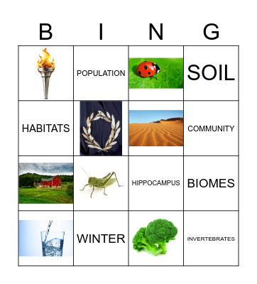 Exploring the world! 🗺️ Bingo Card