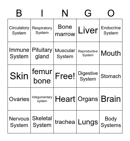 Cells 1 - Organ Systems Bingo Card