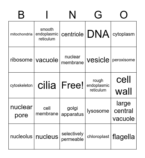 Cell Structure BINGO Card