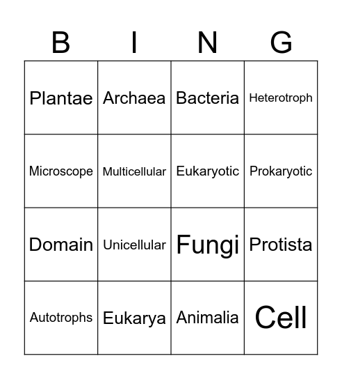 Domains and Kingdoms Bingo Card