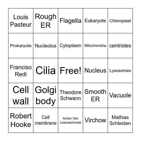 CELLS Bingo Card