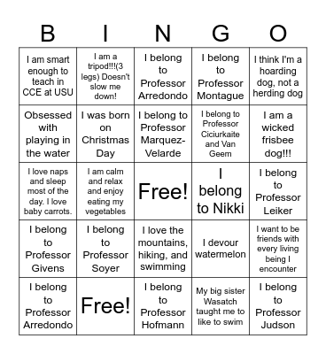 Sociology Pets And Professors Bingo Card