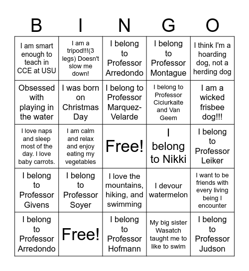 Sociology Pets And Professors Bingo Card