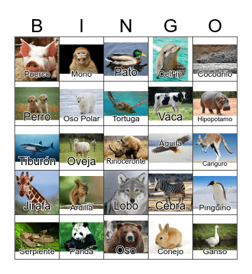 Animals in Spanish Bingo Card