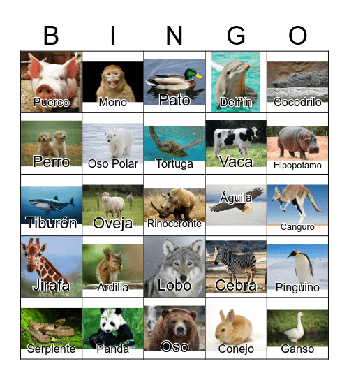 Animals in Spanish Bingo Card