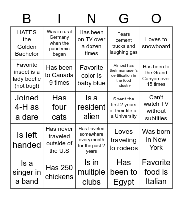 AMBASSADOR BINGO Card