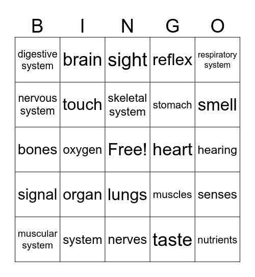 CKLA Unit 3 Vocab Bingo Card