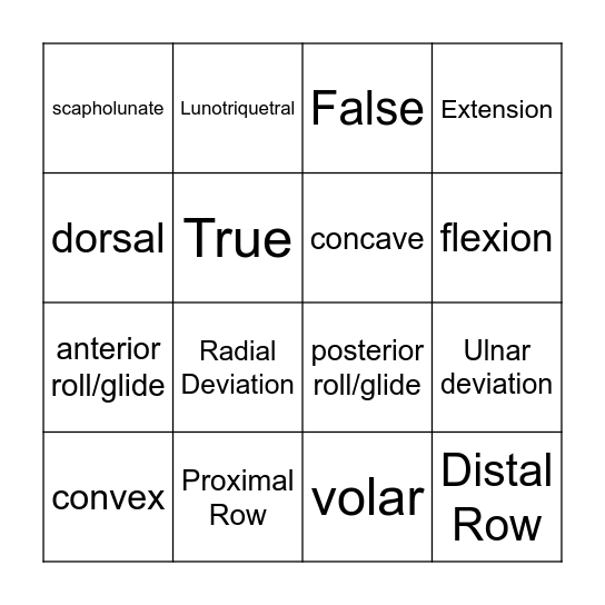 Wrist Biomechanics BINGO Card
