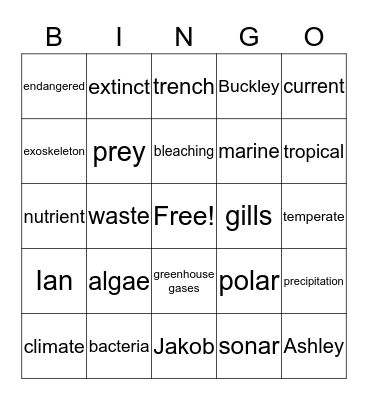 The Ocean Biome Bingo Card