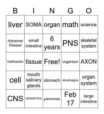 Systems Bingo Card