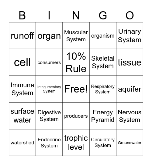 Vocab Bingo Card