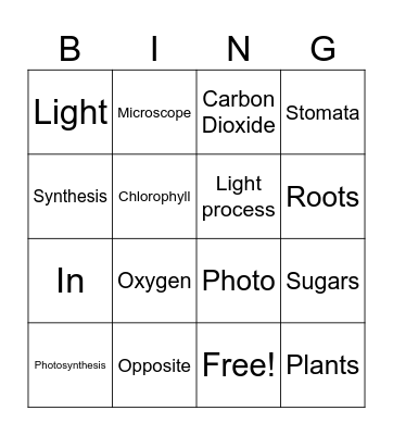 Photosynthesis Bingo Card
