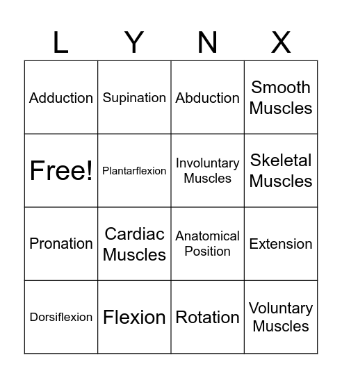 Sports Med Anatomy Bingo Card