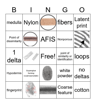 Forensics Bingo Card