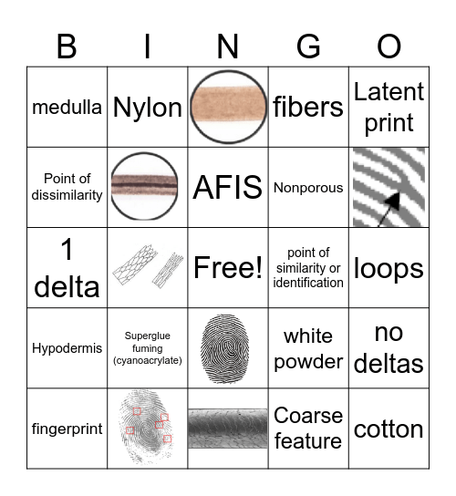 Forensics Bingo Card