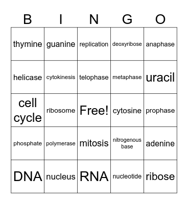 Biology Bingo Card
