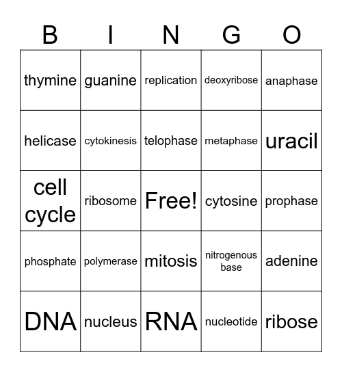 Biology Bingo Card