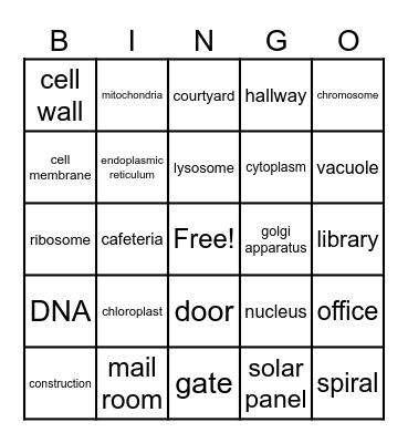 Cell Organelles Bingo Card