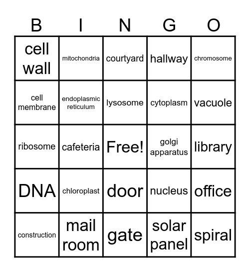 Cell Organelles Bingo Card