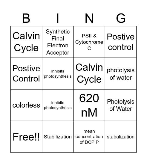 Photosynthesis Bingo! Bingo Card