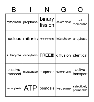 Unit 2: Structure and Function of Cells Bingo Card