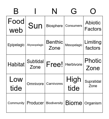 Chapter 5 Review Bingo Card