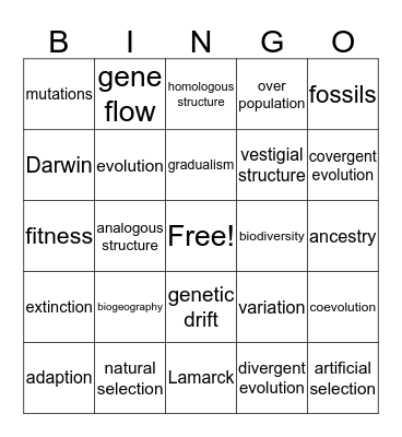 EVOLUTION Bingo Card