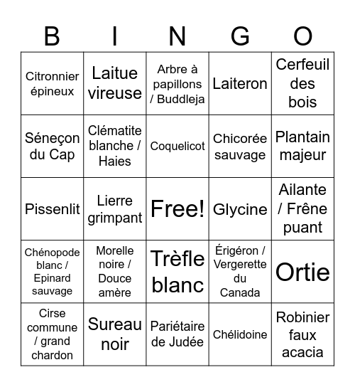 Bingo des plantes des Quatre-Chemins Bingo Card