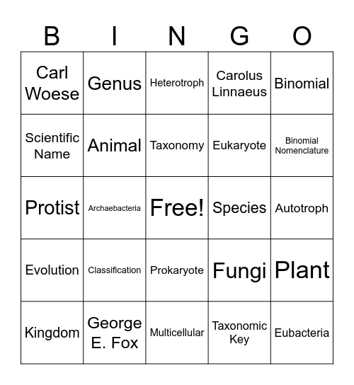 Classification Bingo Card
