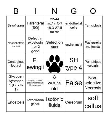 AHD FINAL BINGO Card