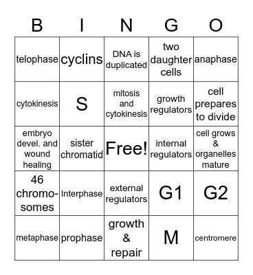 BIO MITOSIS Bingo Card