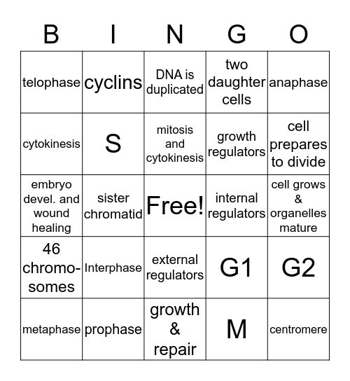 BIO MITOSIS Bingo Card