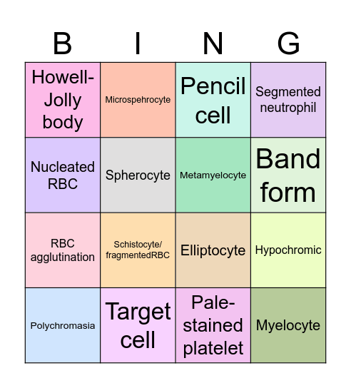 Peripheral blood smear Bingo!! Bingo Card