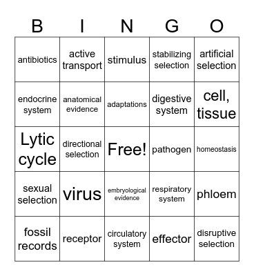 Mrs. Beckem Unit 4/5 Review Bingo Card
