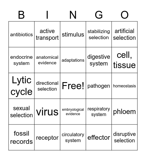 Mrs. Beckem Unit 4/5 Review Bingo Card