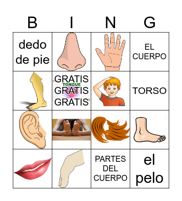 Body Bingo Card