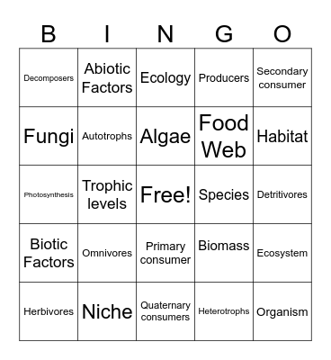 Vocab Review! Bingo Card