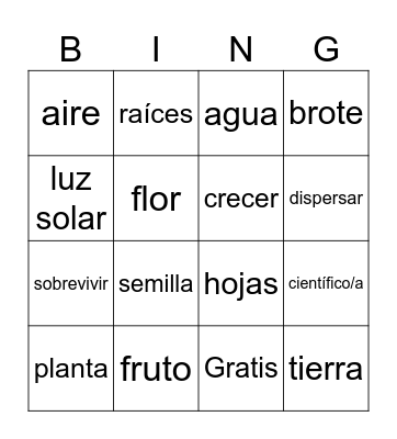 Plantas Bingo Card