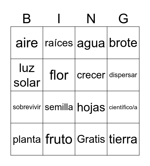Plantas Bingo Card