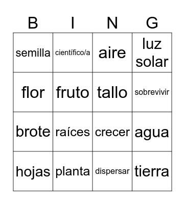 Plantas Bingo Card